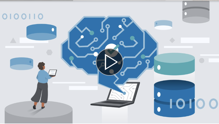 No alt text provided for this image