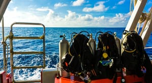 Working Together on a Data Science Team