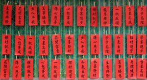 The Artificial Intelligence General Problem Solver