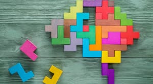 Artificial Intelligence Learning vs Memorizing