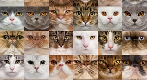 Supervised vs Unsupervised Learning